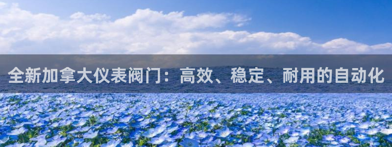 新宝奇迹GG5