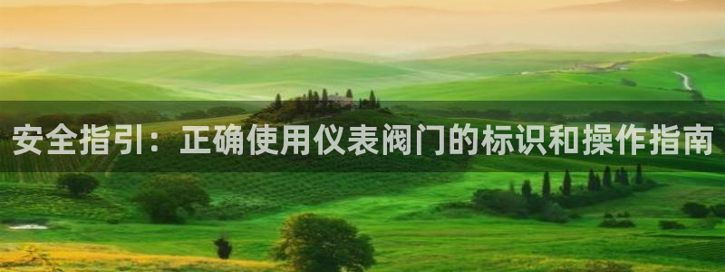 新宝gg网