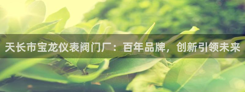 新宝GG上级