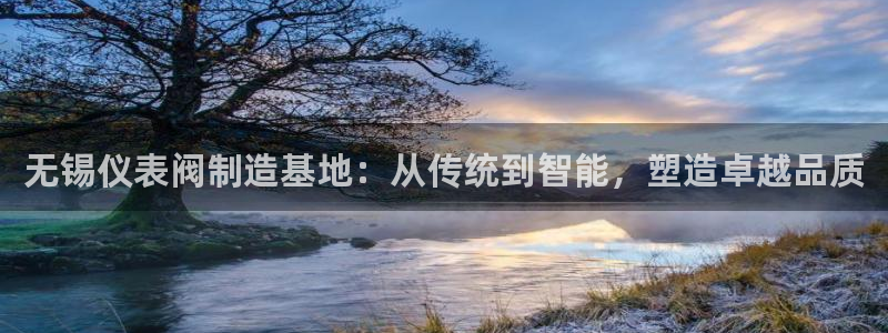 新宝GG上级