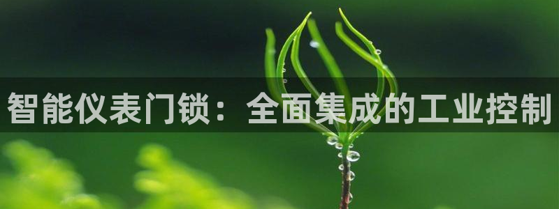 新宝gg资料
