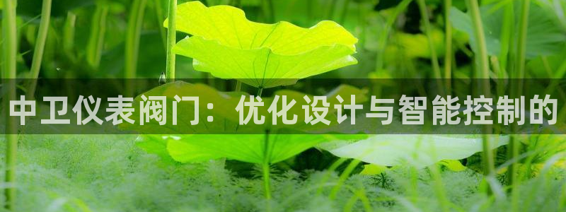 新宝gg走势