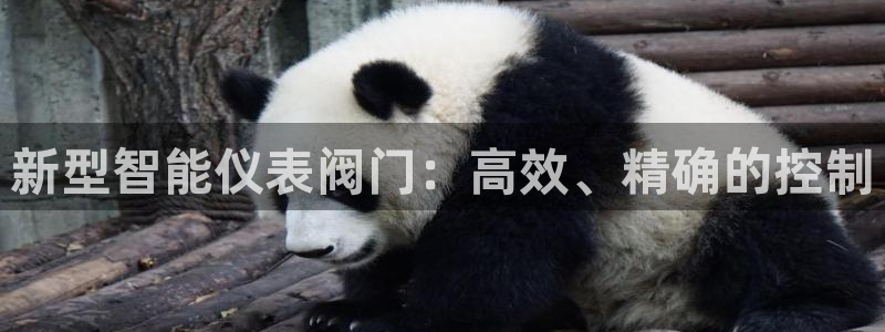 新宝gg网娱乐