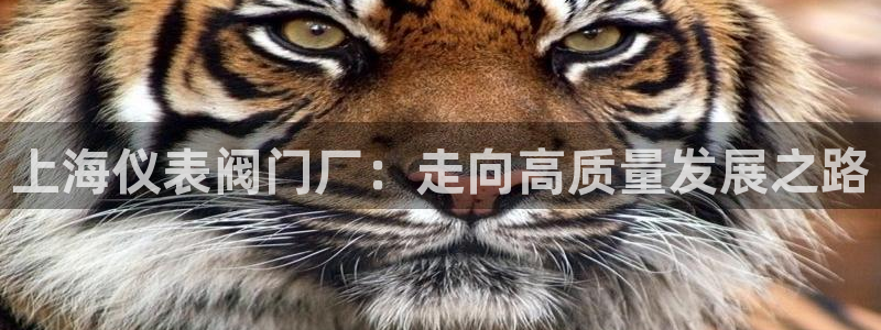 重庆新宝gg