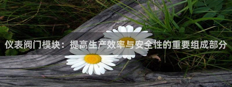 新宝gg客户端下载