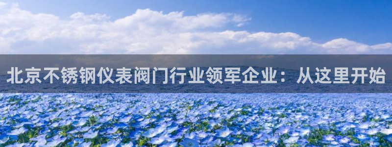 新宝gg
