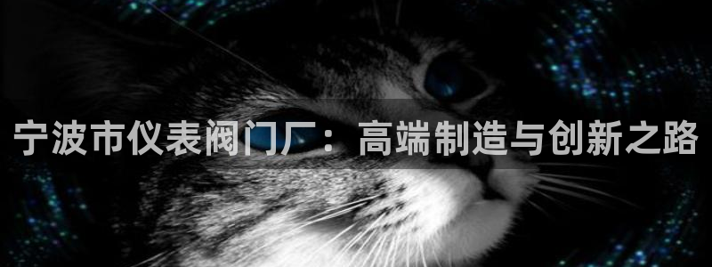 新宝gg怎么做代理