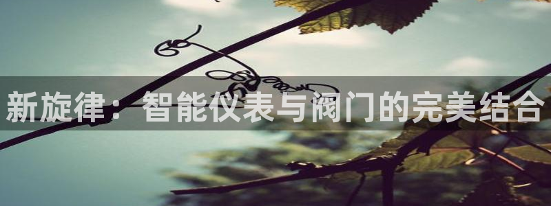 新宝gg合作
