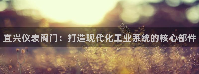 新宝gg登录页面