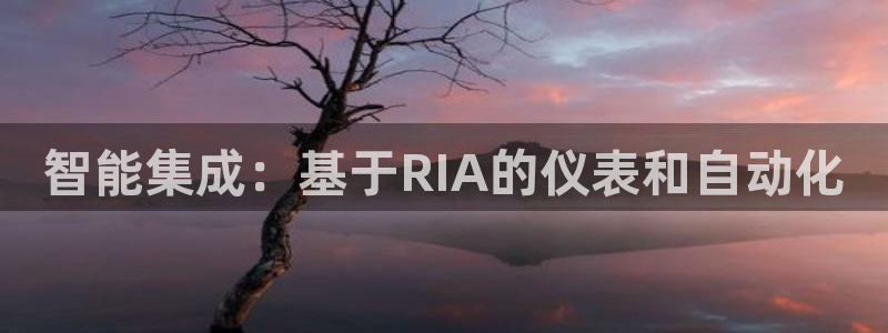 新宝gg网站