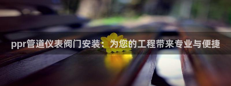 新宝gg吧