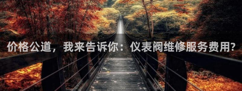 新宝gg如何做到总代理