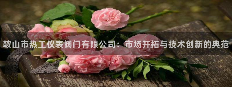 新宝gg软件下载