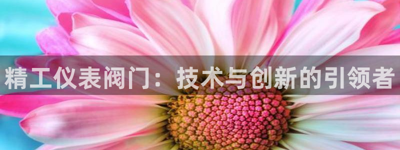 下载新宝gg