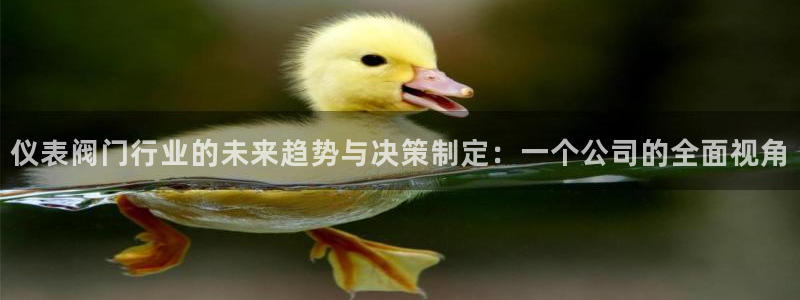 新宝gg娱乐怎么样