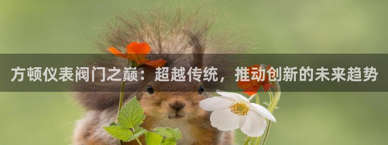 新宝gg平台开发