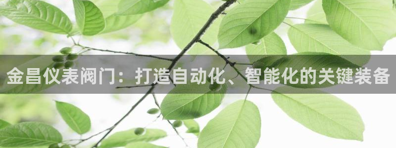 新宝gg挂机软件下载