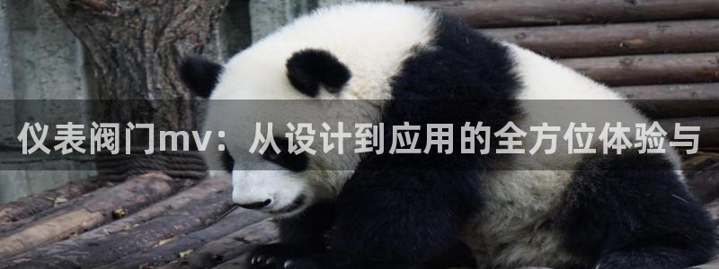 新宝gg如何注册