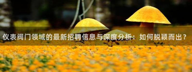 新宝gg手机