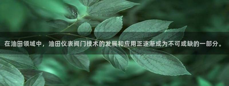 手机新宝gg