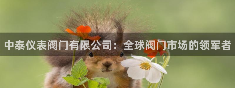 新宝gg返点模式