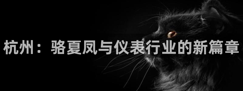 新宝gg指定平台