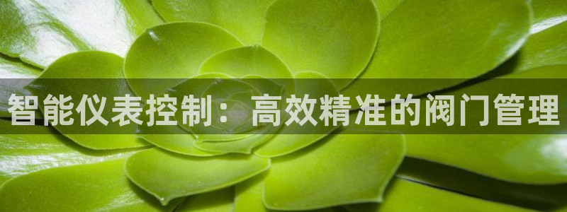 新宝gg是新宝几