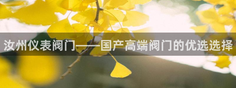 新宝gg在哪开户