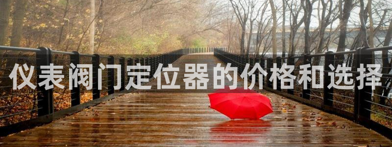 新宝GG最高返点多少