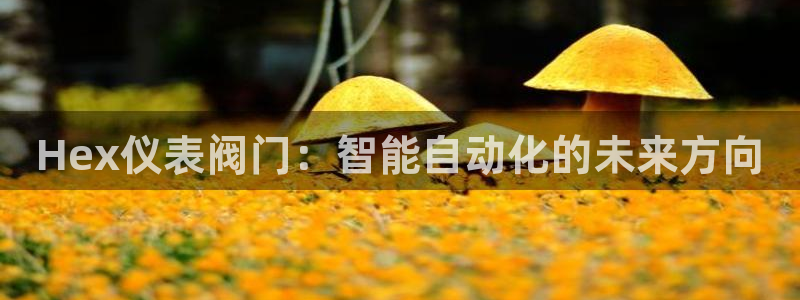 新宝gg官网登录找代理