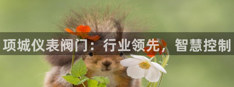 新宝gg挂机软件下载