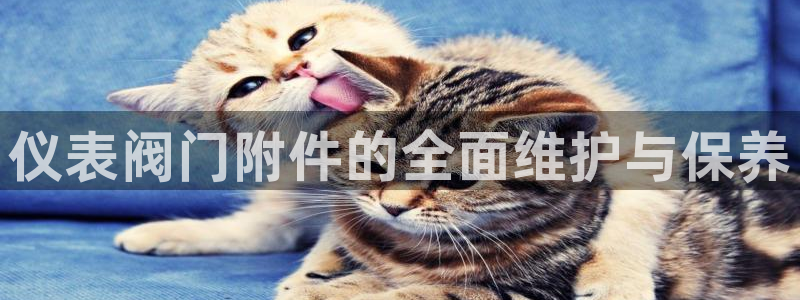 新宝gg如何代理