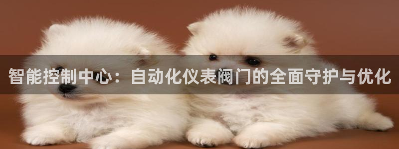 新宝gg平台gg登录gg网址