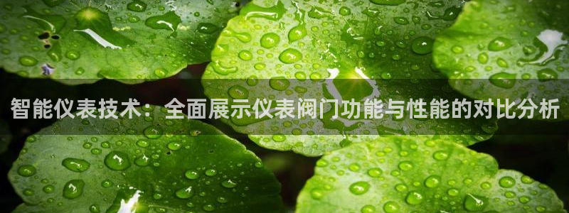 新宝GG专业团队
