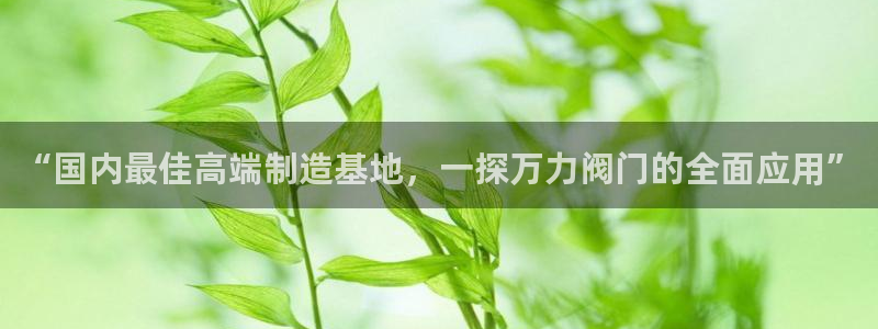 新宝gg有规律么