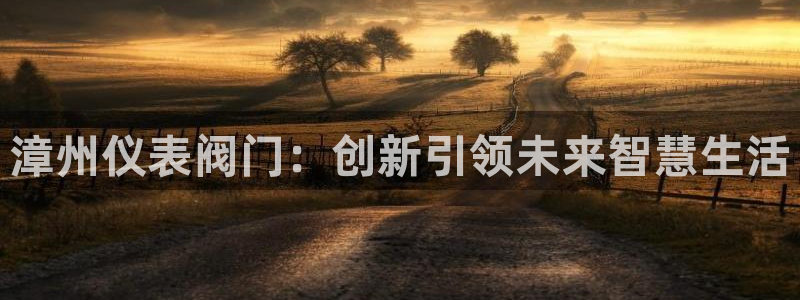 认准新宝gg