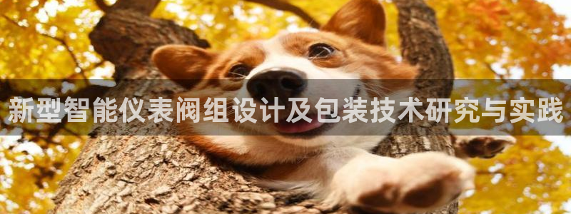 新宝gg测速登录