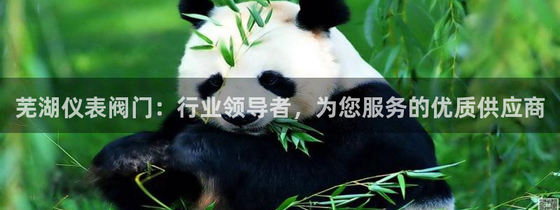 新宝GG创业奇迹