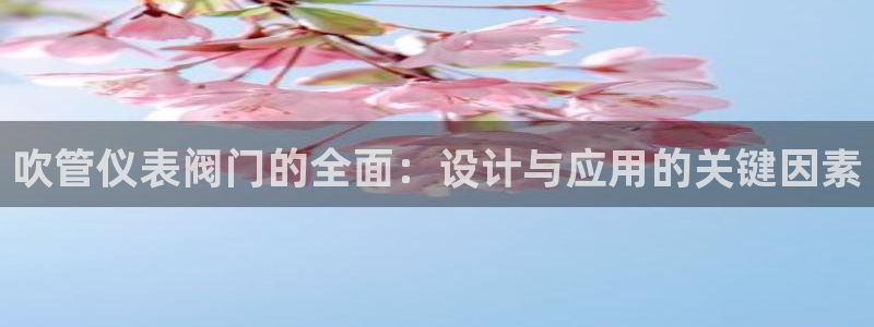 新宝gg一创造奇迹