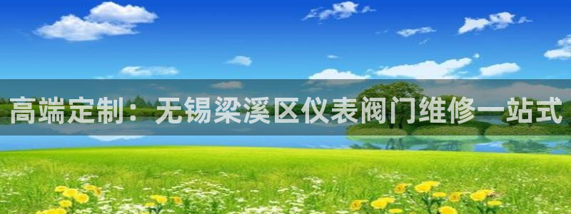 新宝gg主