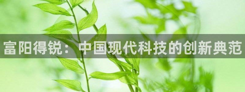 新宝gg赚钱