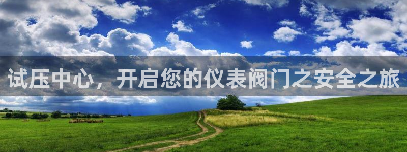 新宝GG之家
