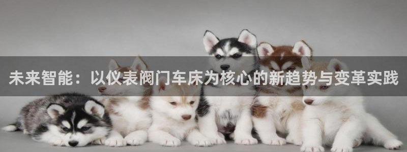 新宝gg官网