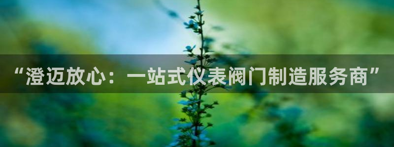 新宝gg代理注册