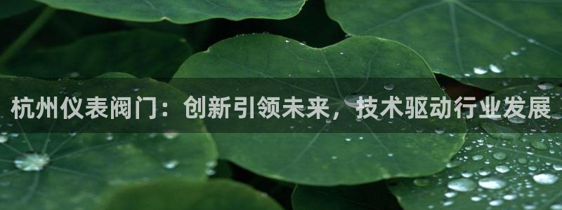 新宝gg注册登录
