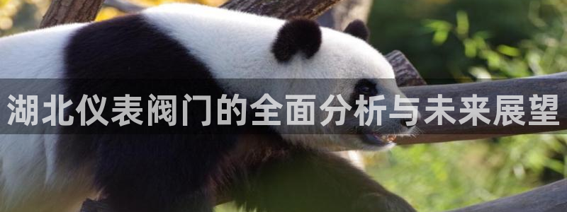 新宝gg6娱乐注册网址