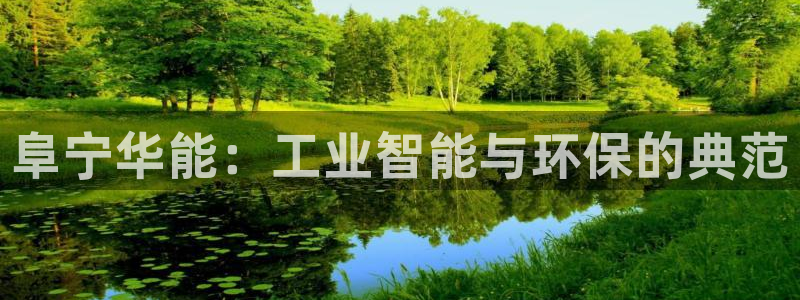 新宝gg手机登录官网