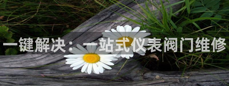 新宝gg — 创造!