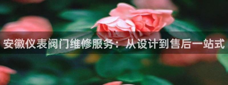 新宝gg怎么做代理