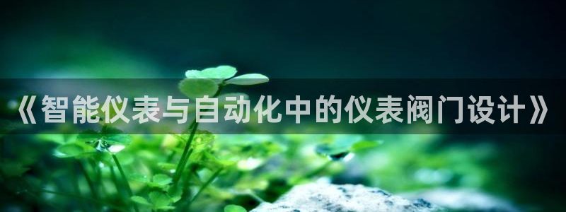新宝gg成立